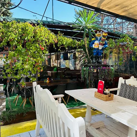 Sunny Day Club