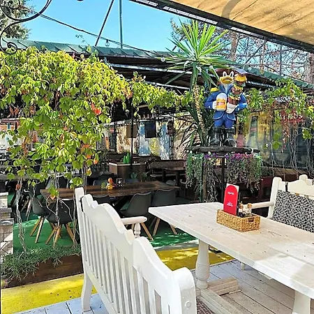 فندق Sunny Day Club