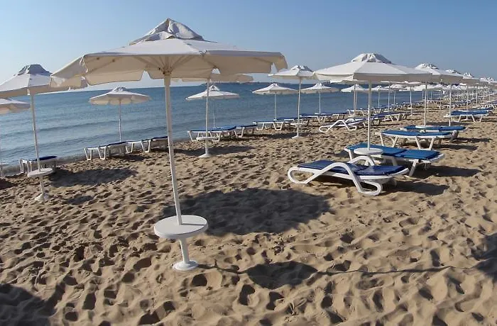 Sunny Day Club