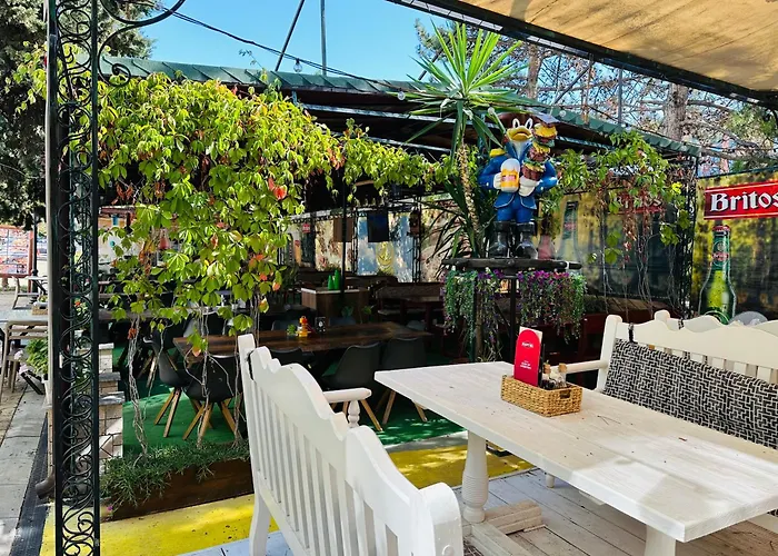 Sunny Day Club